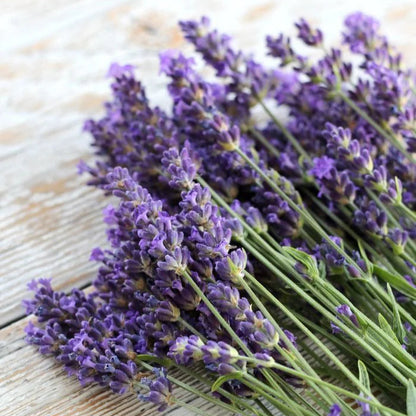 Lavender Oil Essential Oil EO008