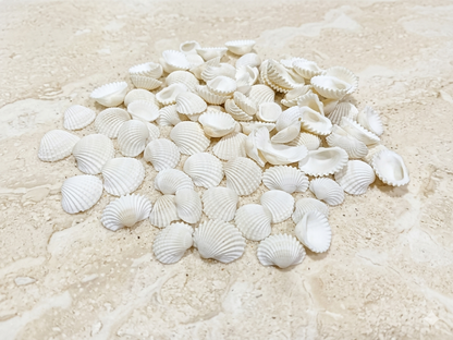 SHELL Pack is of 100g | ARA001