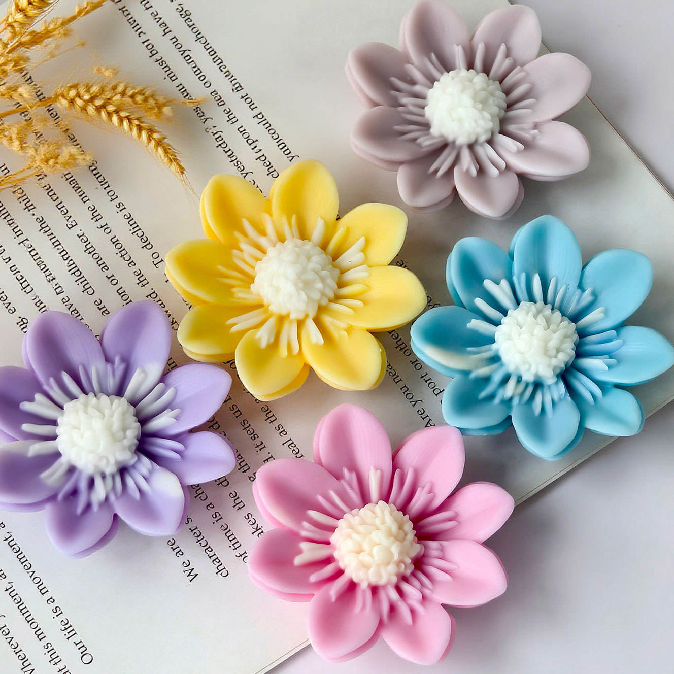 Starburst Daisy Embed WCM754