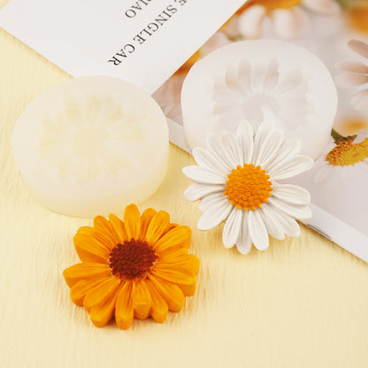 Yellow Daisy WCM246 (OWN)