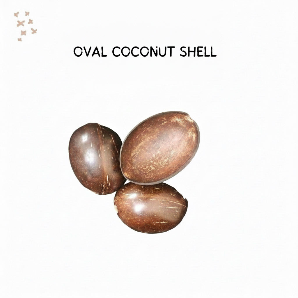 Coconut Shell Bowl Oval  (Pack 10) PM246