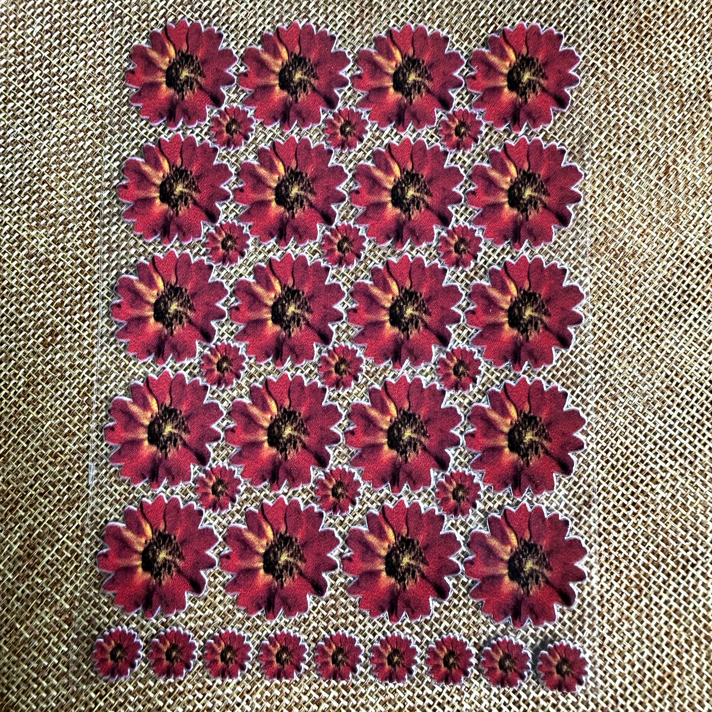 Premium Maroon Zinnia UV Transfer Stickers | UV006