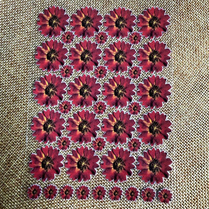 Premium Maroon Zinnia UV Transfer Stickers | UV006