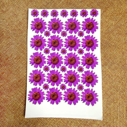 Purple Daisy Flower UV Transfer Sticker | UV013