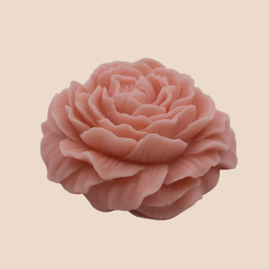 Thin Peony Bloom WCM594