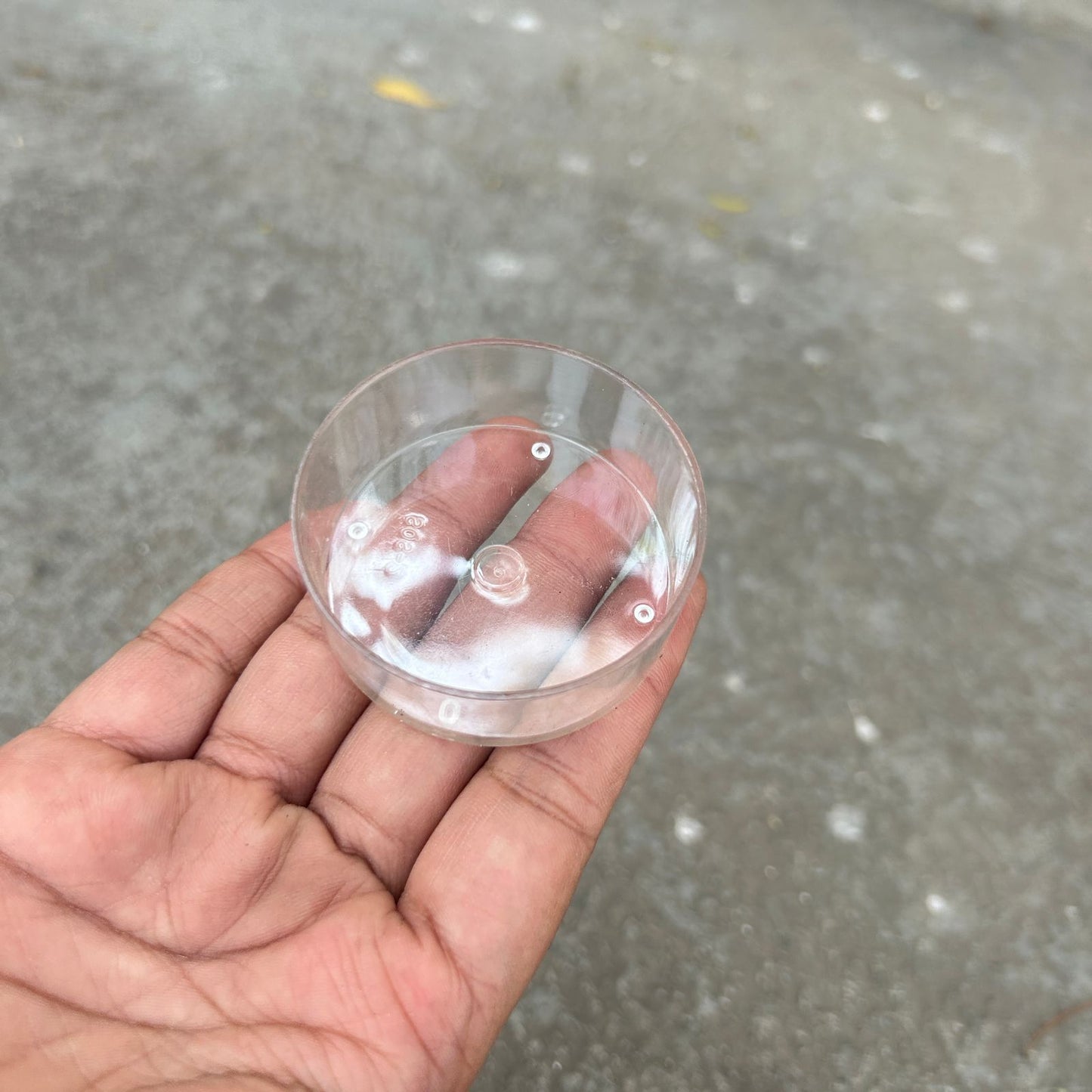 Polycarbonate T-Light 50 PCS