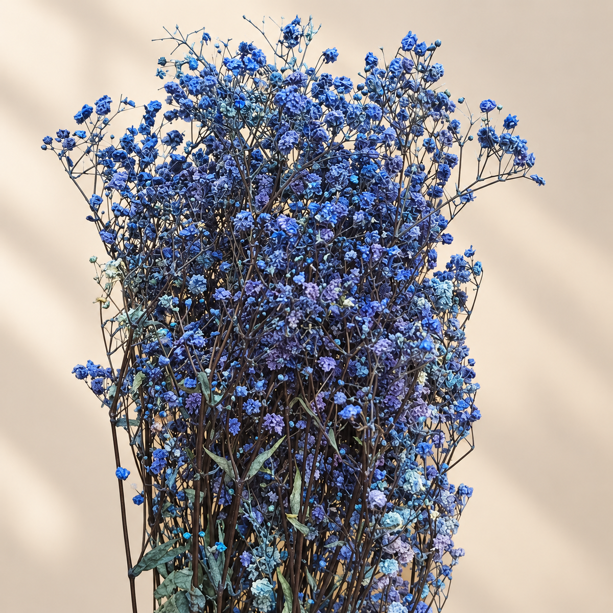 Baby Breath *Bunch* Flower 100 gram ADF046 to ADF050