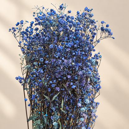 Baby Breath *Bunch* Flower 100 gram ADF046 to ADF050