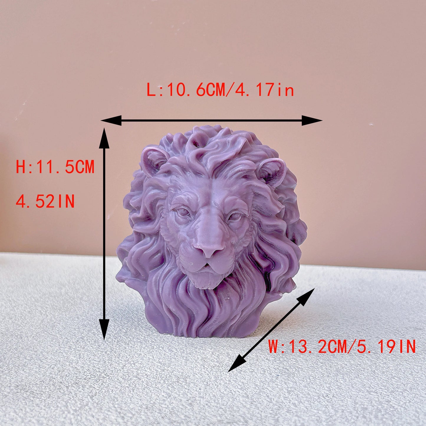 3D Lion Mold  WCM627
