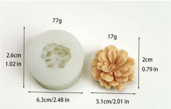 Begonia Flowers WCM228(own)