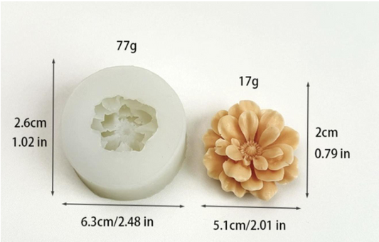 Begonia Flowers WCM228