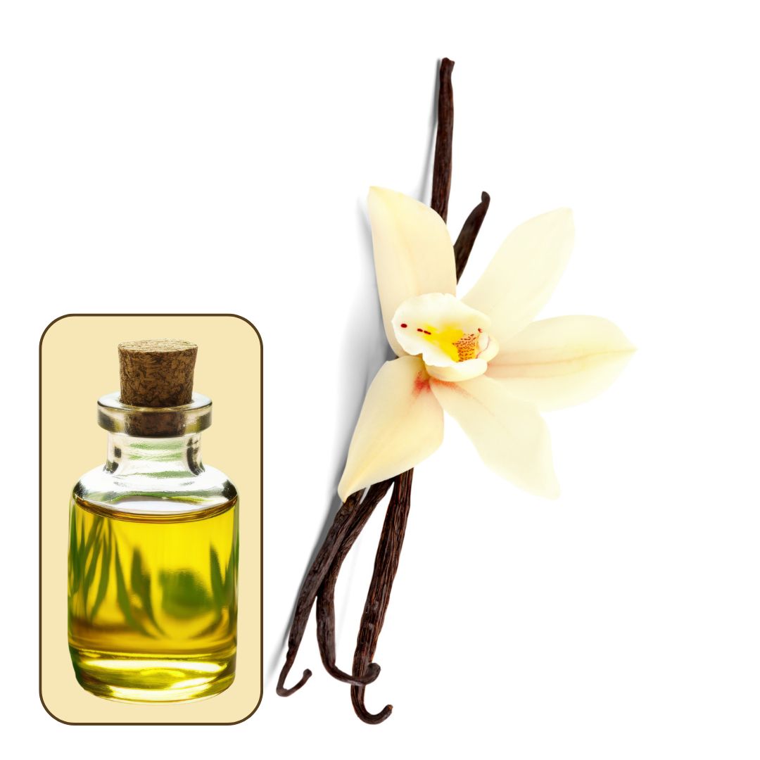 A bottle of Tobacco Vanilla fragrance oil with a cork stopper next to a vanilla flower and beans.