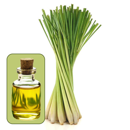 Fresh Lemon Grass (Cirtus) Fragrance FO033