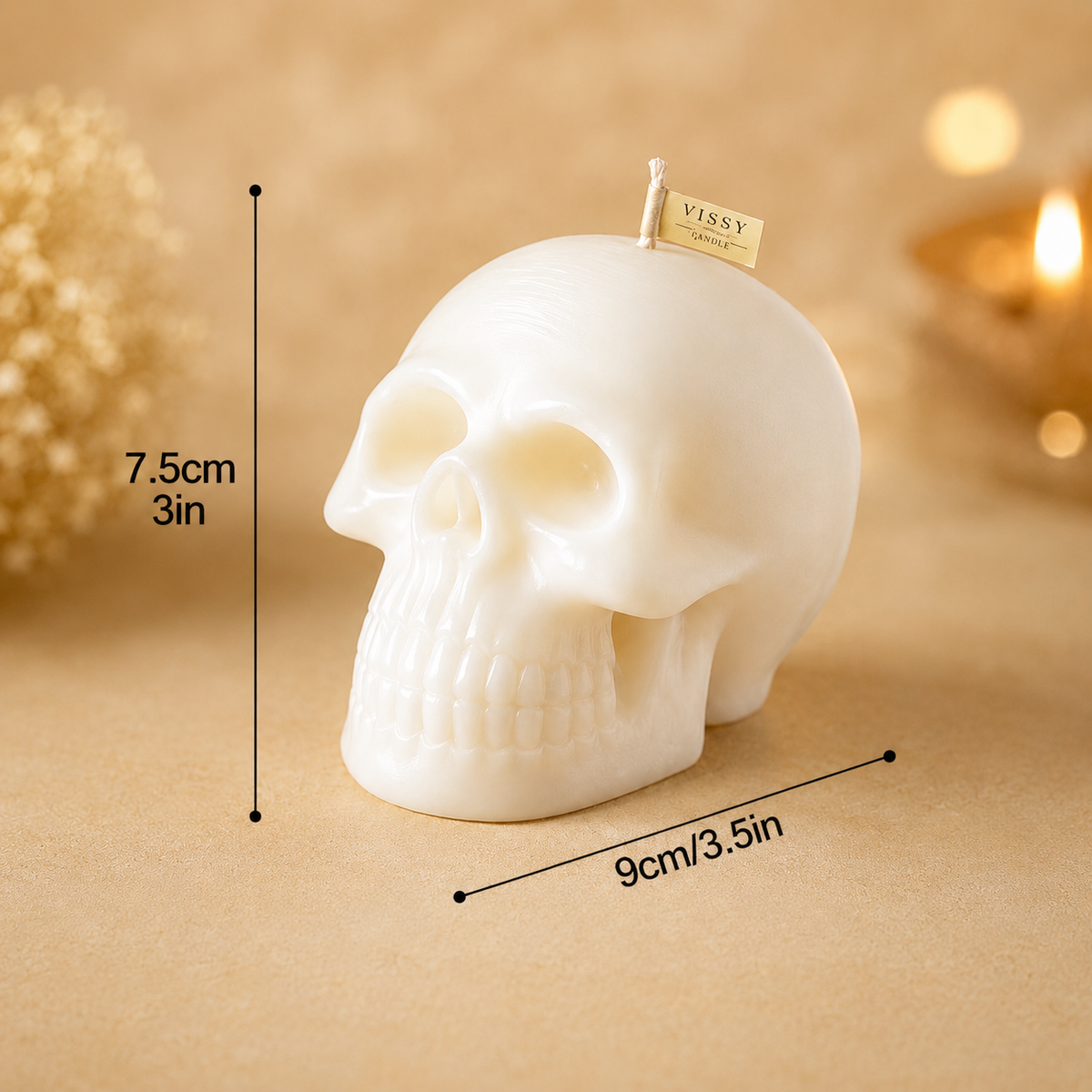 Skull WCM062
