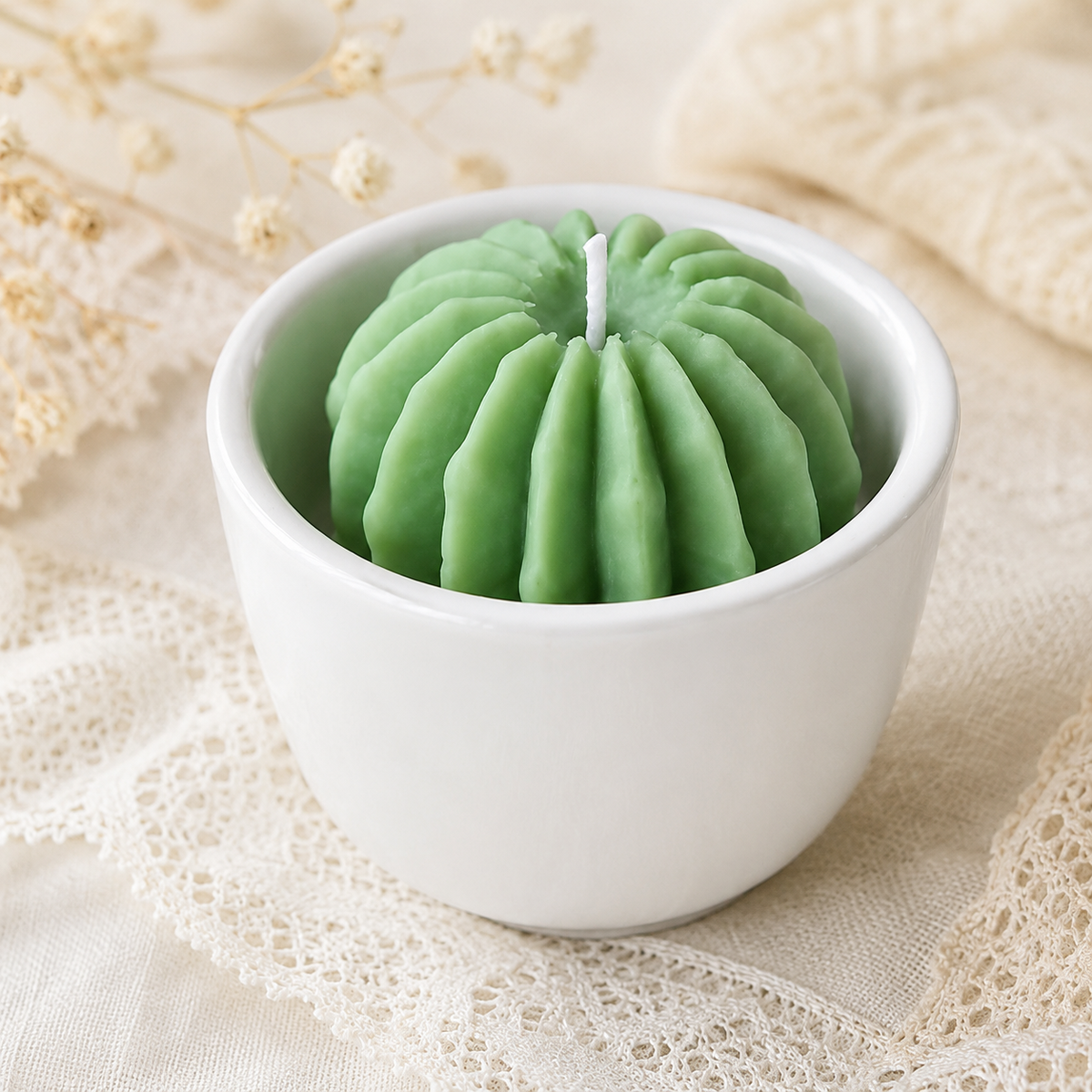 Cactus Ball WCM078(own)
