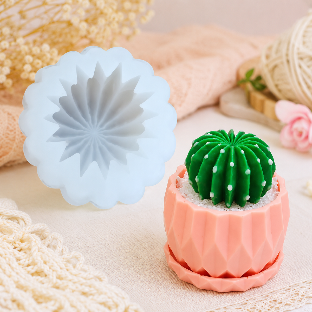 Cactus Ball WCM078(own)