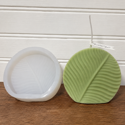 Round leaf WCM134 (OWN)