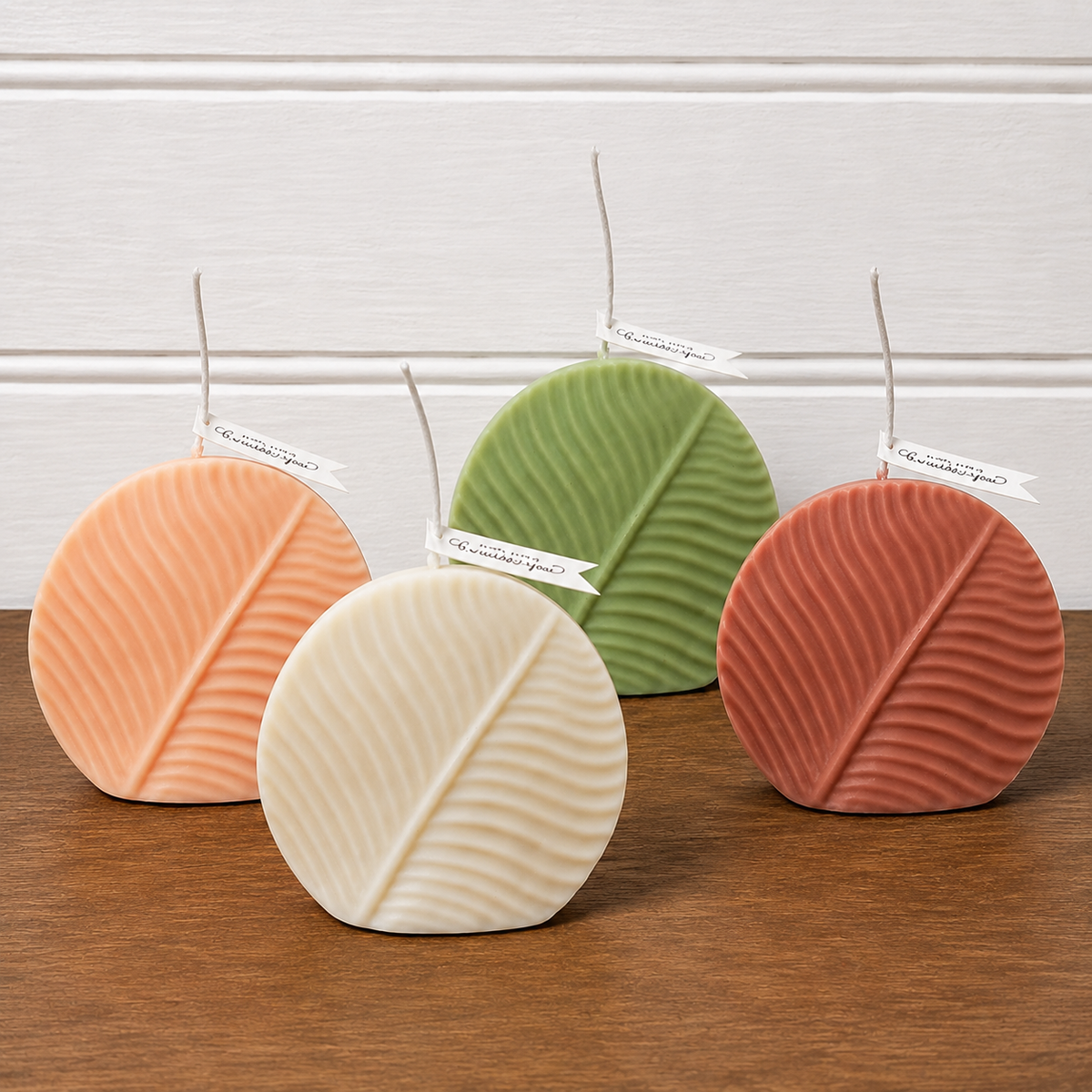 Round leaf WCM134 (OWN)