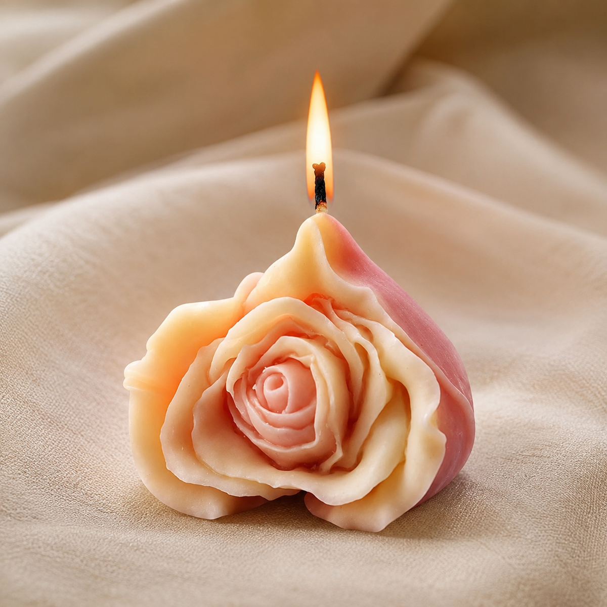 Rose Heart WCM215(own)