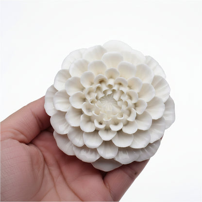 Dahlia Flower WCM229 (own)