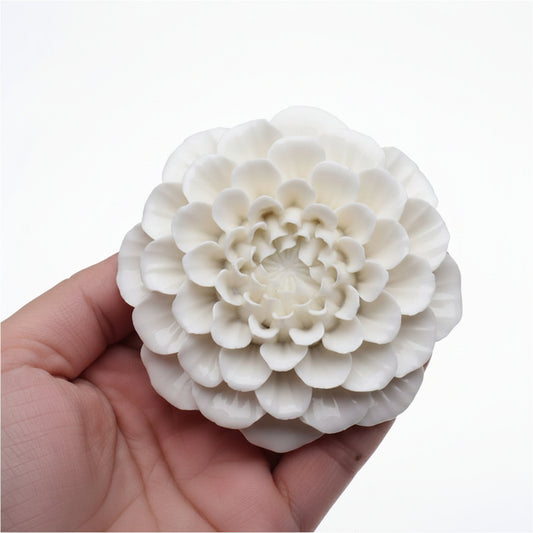 Dahlia Flower WCM229 (own)