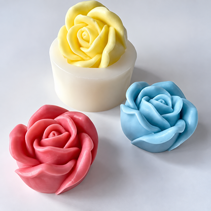 Rose Flower Bloom WCM237(OWN)
