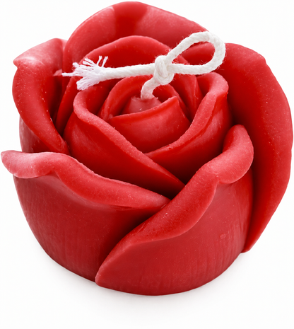 Rose Flower Bloom WCM237(OWN)