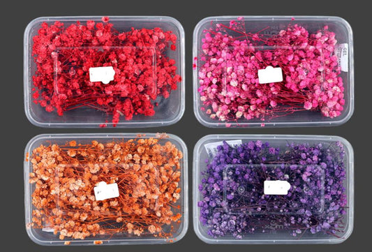 Dry Baby Breath Flower Box ADB002