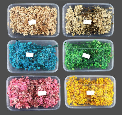 Dry Baby Breath Flower Box ADB002