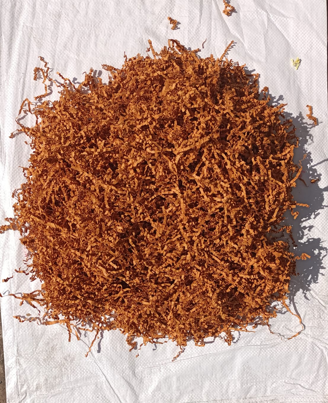 Paper Shreddings / Fillers PM209