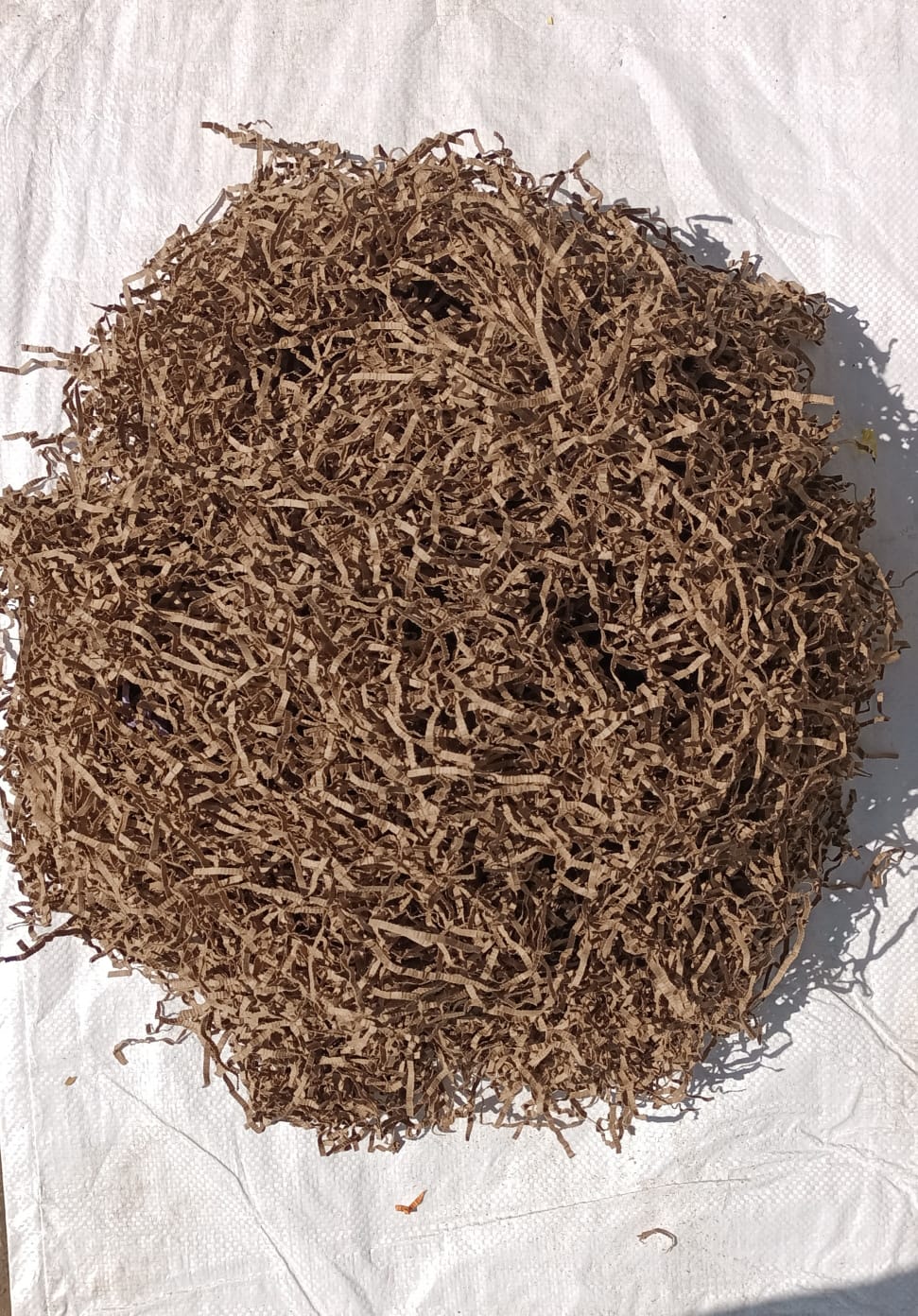 Paper Shreddings / Fillers PM209