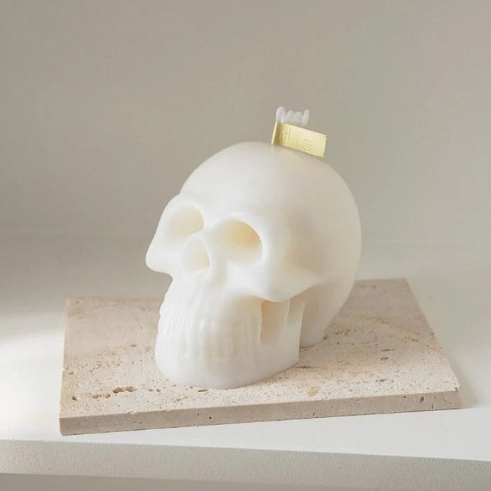 Hollow Skull WCM461