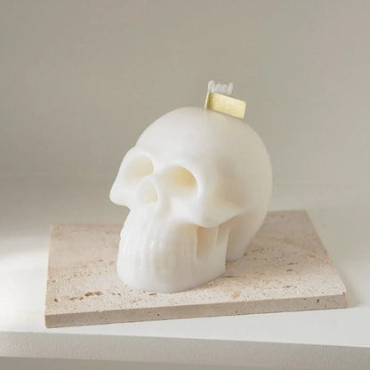 Hollow Skull WCM461