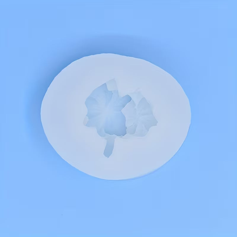 Plumeria Fancy CFM190