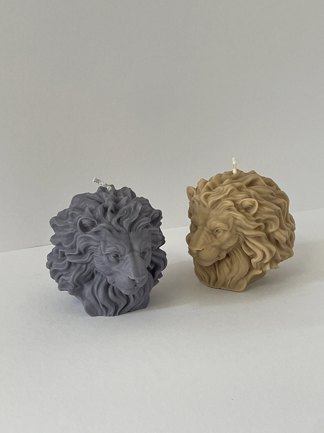 3D Lion Mold WCM627