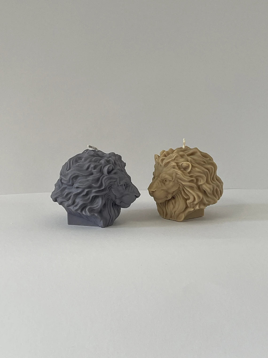 3D Lion Mold WCM627