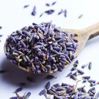 Dried Lavender Buds DP004