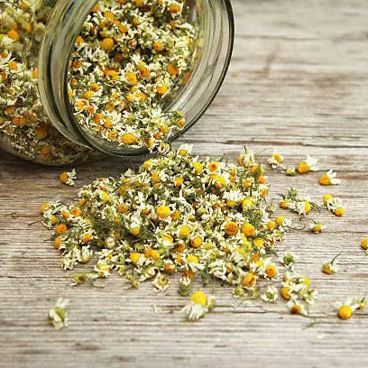 Dried Chemomile Flowers DP008