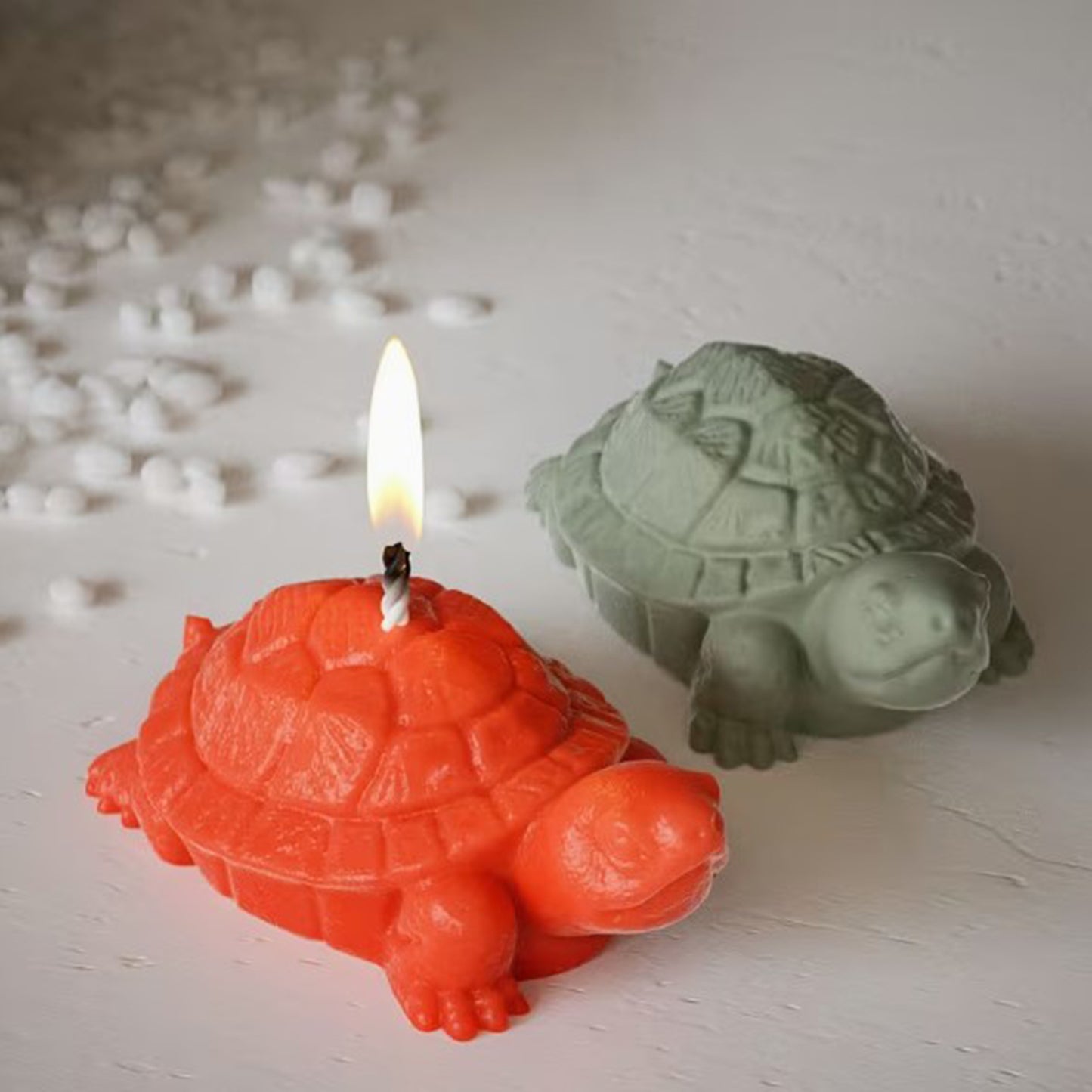 Turtle Silicone Mould 