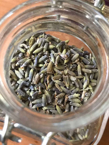Dried Lavender Buds DP004