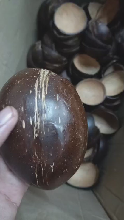 Coconut Shell Bowl Oval  (Pack 10) PM246