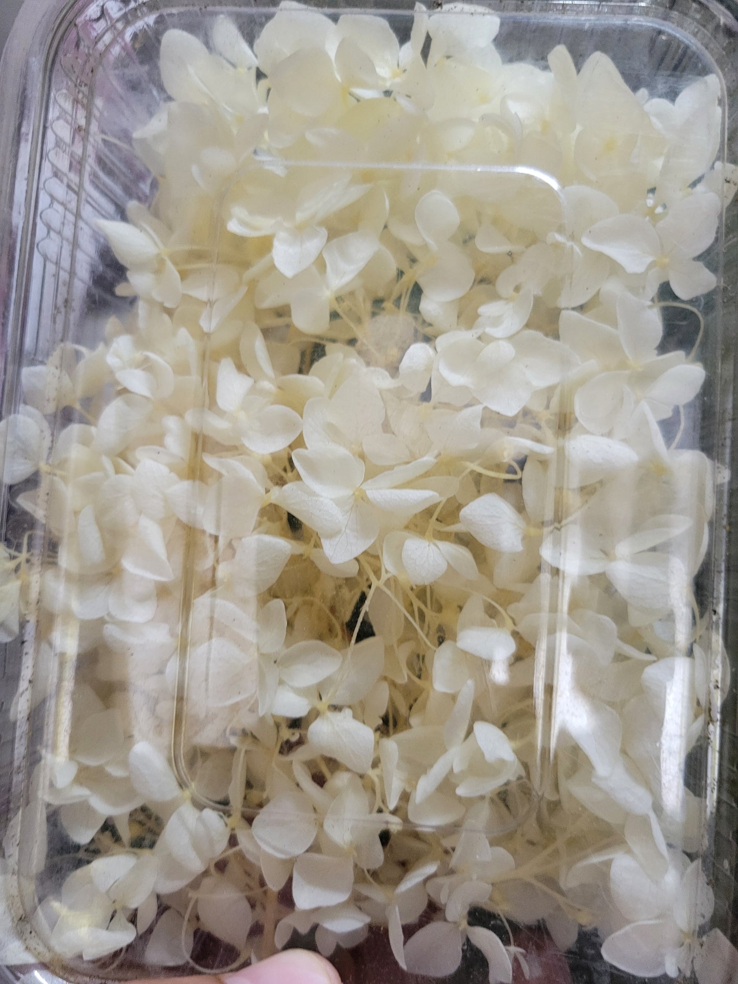 Dry Baby Breath Flower Box ADB002