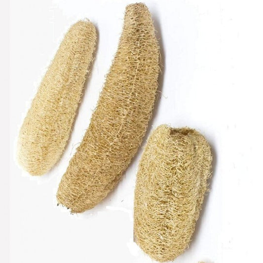 7”-10” Whole Loofah 50pcs LO001